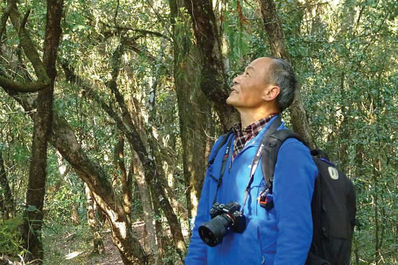 Li Jiahong vividly remembers the first time he saw a Skywalker gibbon